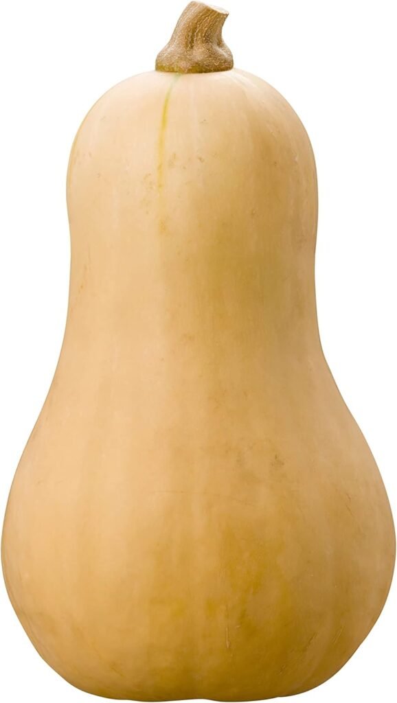 Una calabaza Halloween, también está muy rica para comer!